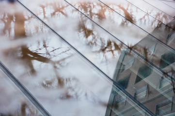 abstract Double exposure of glass and trees 