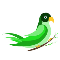 A green parrot on a branch of a tree