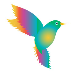 Flying bird with beautiful variegated wings