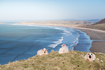 Rhossili Bay / The beach at Rhossili Bay viewed from the cliff top on the Gower Peninsula, South Wales
