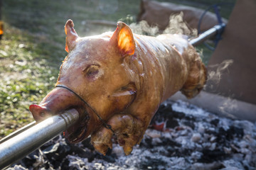 A whole pig being roasted on a fire.