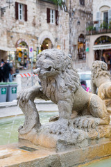Lion fountain in the square of Assisi, Umbria, Italy