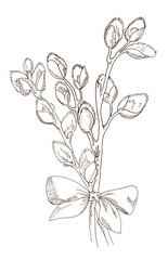 bunch of willow branches tied with a bow. The sketch marker. Vector