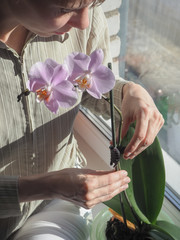 Cultivation of orchids. Smiling happy young florist in her nursery holding a potted pink...