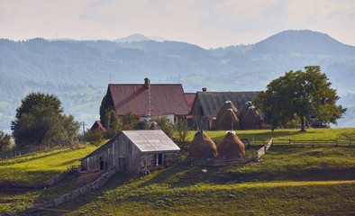 Springtime rural landscape. Traditional Transylvanian house with rustic wooden barn, cowshed,...