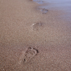 Fototapeta na wymiar Footprint on sand at the beach
