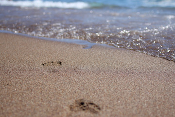 Footprint on sand at the beach
