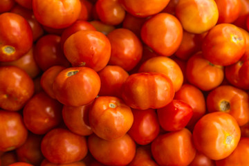 Ripe tomatoes