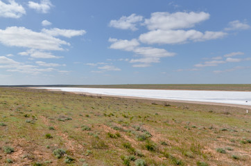 Fototapeta na wymiar spring on the shores of salt lake Mazna-Khag in steppe between Kalmykia and Astrakhan