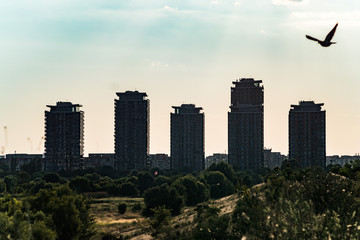 Obraz premium skyline