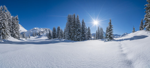 Winterpanorama - Verschneite Winterlandschaft