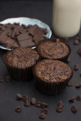 Whole Wheat Double Chocolate Chip Muffins in a Dark Environment