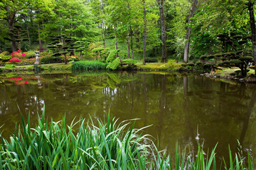 Pond  abd   forest. Beauty nature in Japanese park in France in Maulivrier . Pays de la loire .