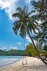 Seesaw on the beach of a tropical