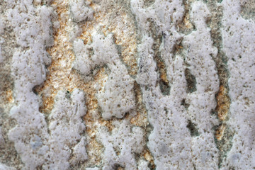 natural stone texture