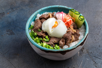 Gyudon bowl or beef and rice dish isolated, copyspace