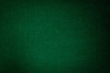 Green canvas wall background. - 194343423