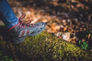 Hiker shoes on old tree log
