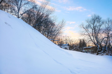 Obraz premium Landscape with the image of winter meadow