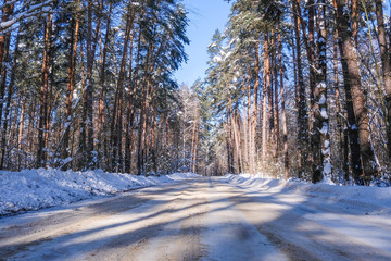 Landscape with the image of winter wood