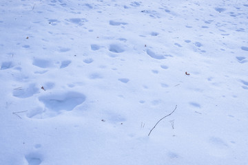 Background with the image of snow