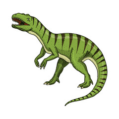Dinosaurs Tyrannosaurus rex, Afrovenator, Megalosaurus, Tarbosaurus, Struthiomimus skeletons, fossils. Prehistoric reptiles, Animal engraved Hand drawn vector