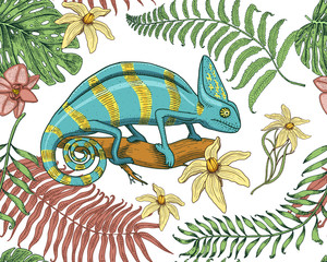 Chameleon Lizard, tropical flowers, seamless pattern. American green reptile or snake, herbivorous. vector illustration for book or pet store, zoo. engraved hand drawn in old sketch.