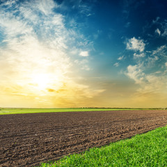 black and green agriculture fields in sunset. Organic farmland concept