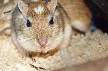 Bilder und Videos suchen