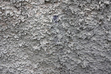 Concrete texture wall