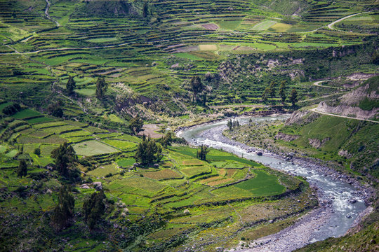 Colca Canyon
