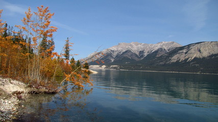 Autumn On Lake Abraham, Nordegg, Alberta