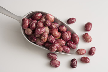 raw and fresh beans - Phaseolus vulgaris
