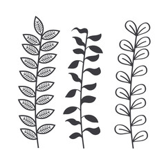 Rustic branch and leaves design over white background vector illustration