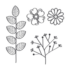 Rustic branch leaves and flowers design over white background vector illustration