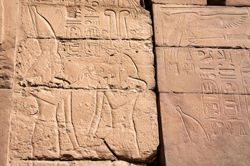Hieroglyphs of Karnak temple
