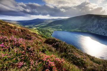 Europe, Ireland, blue lake at Sally's Gap in Wicklow mountains national park