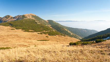 Obraz premium Mountain landscape in the Vratna valley at the national park Mala Fatra, Slovakia, Europe.