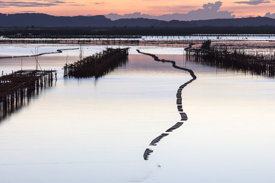 Oyster beds in the shape of a snake at sunset, Halong Bay, Quang Ninh Province, North-East Vietnam, South-East Asia