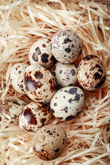 Obraz premium Quail eggs in the nest of straw.