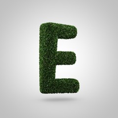 Grass letter E uppercase isolated on white background