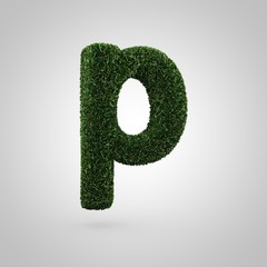 Grass letter P lowercase isolated on white background