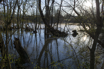 Obraz premium Reflection on calmed river