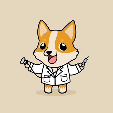 Cute Cartoon Character Design Pembroke Welsh Corgi Dog In Doctor Costume 