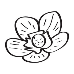 Drawing of a flower