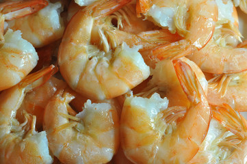 Tiger shrimps.