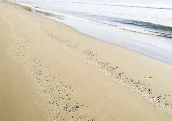 砂浜