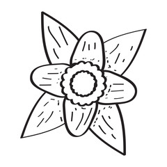 Drawing of a flower