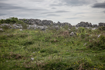 Fototapeta na wymiar Burren - Ireland
