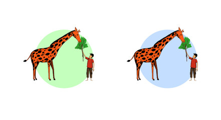 a child feeds a giraffe.